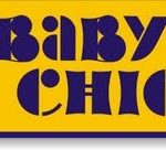 Buono regalo €20,00