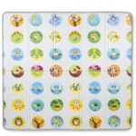 CHICCO Maxi Tappeto2in1